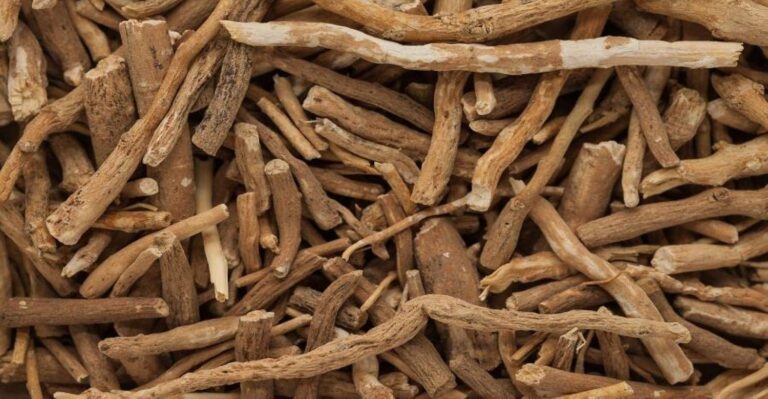 Ashwagandha 101: What It Is, What It Does, and How to Take It